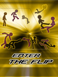 Скачать java игру Вход в Флип (Enter The Flip) бесплатно и без регистрации